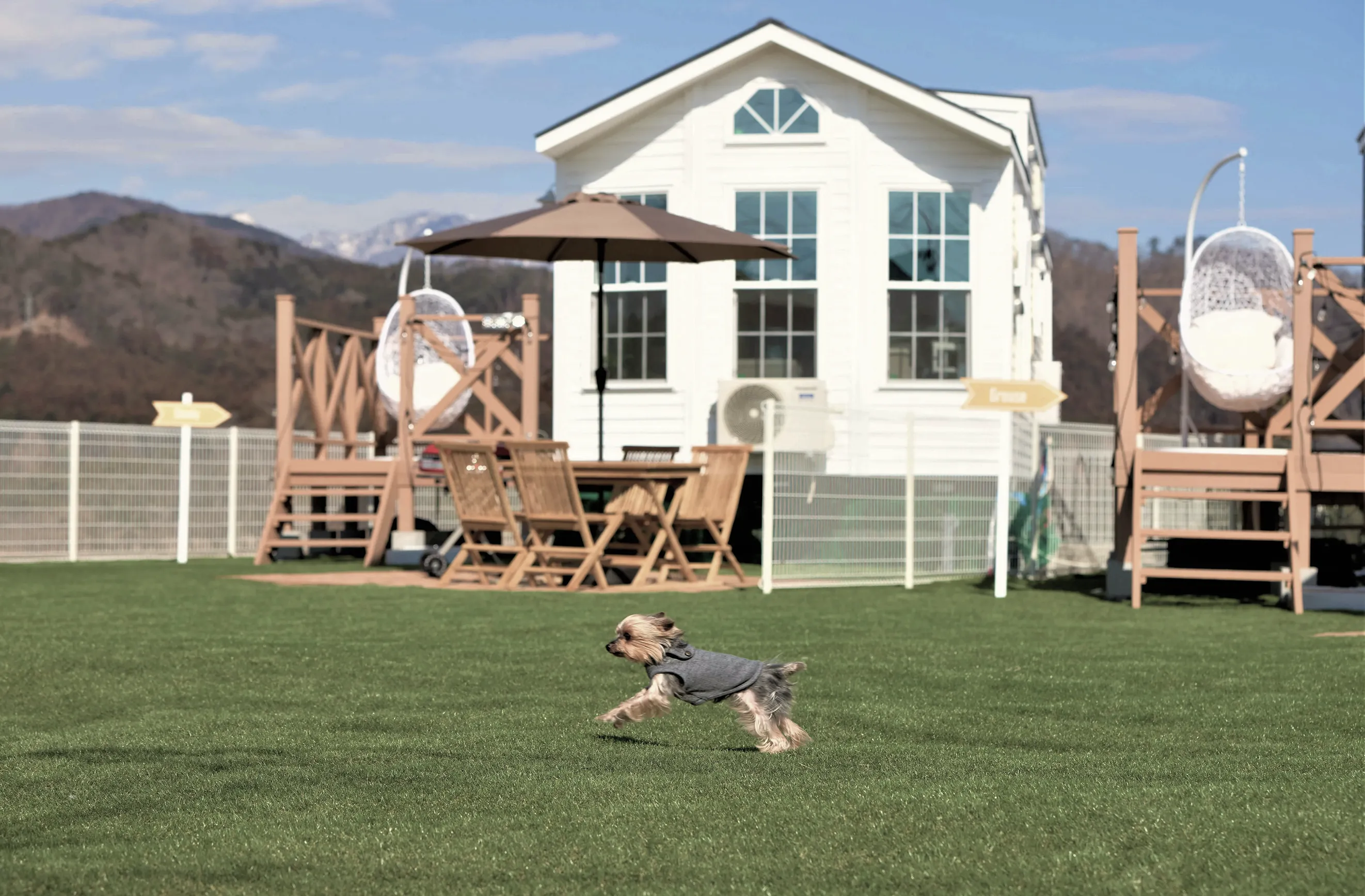 全棟プライベートドッグラン付き