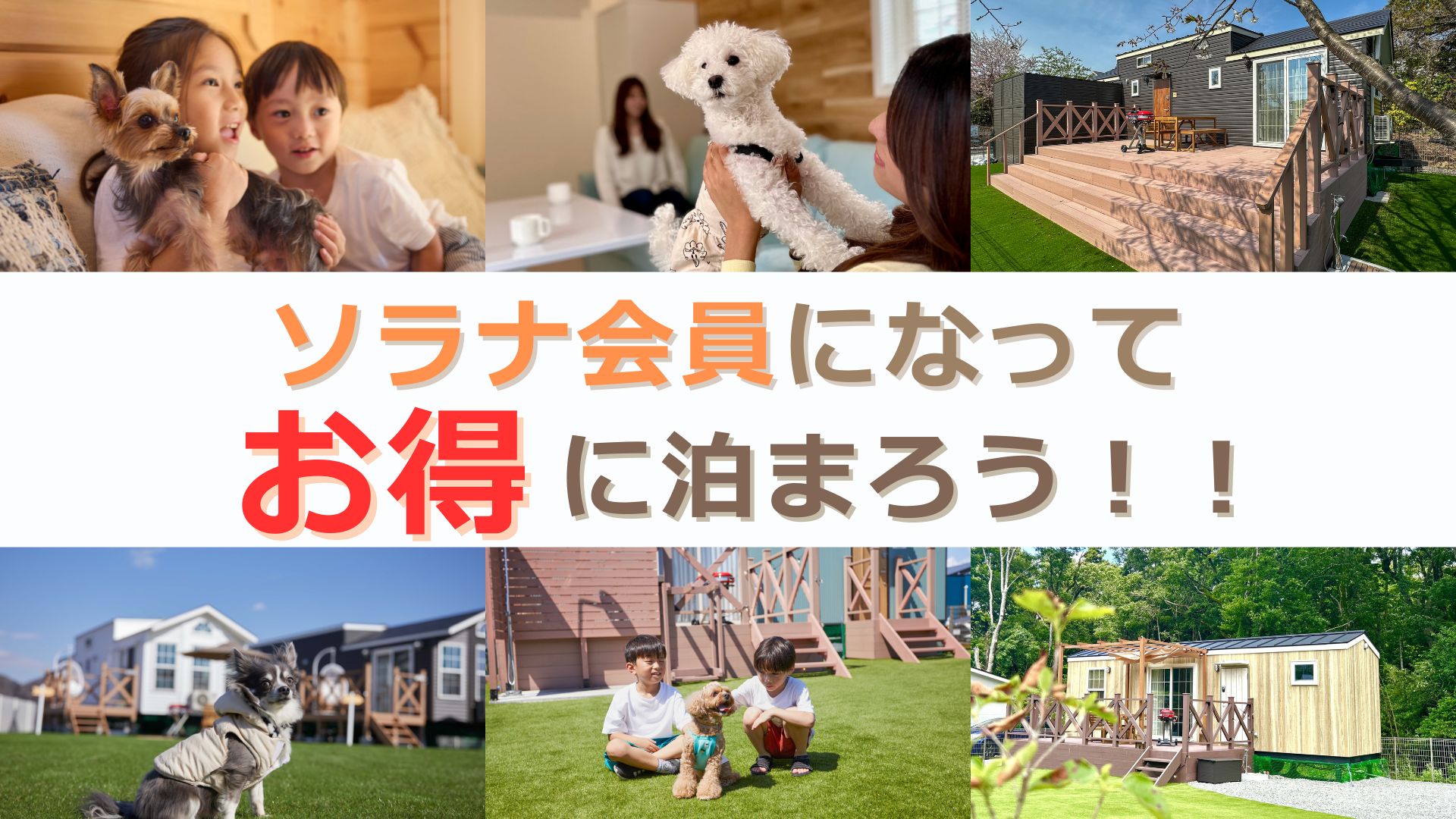 ソラナ会員になってワンちゃんとお得に泊まろう！！